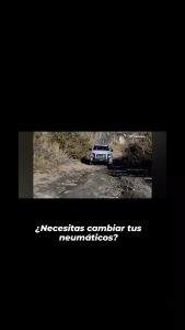701019839 1955631288646937 959354296893273404 n Neumatech