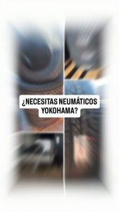 762864499 1042842008443763 7329840259476587623 n Neumatech