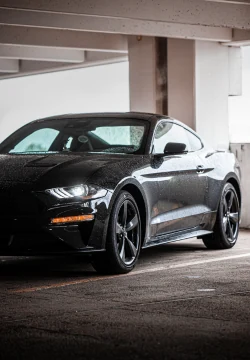 Automovil img filter Neumatech